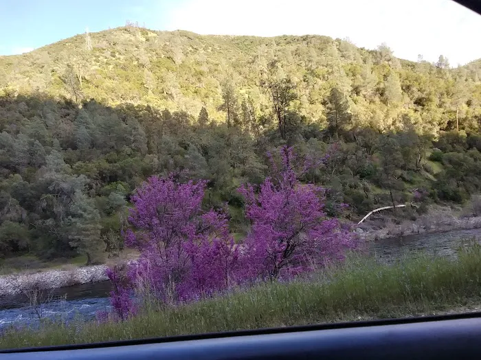 Railroad Flat Campground Picture 4