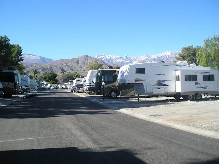 Encore Palm Springs Oasis Picture 4
