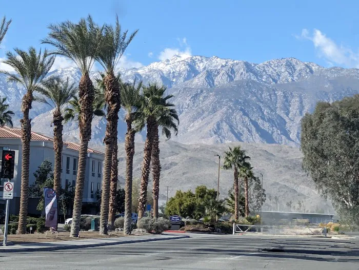Encore Palm Springs Oasis Picture 1