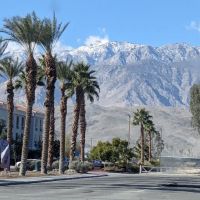 Encore Palm Springs Oasis ico