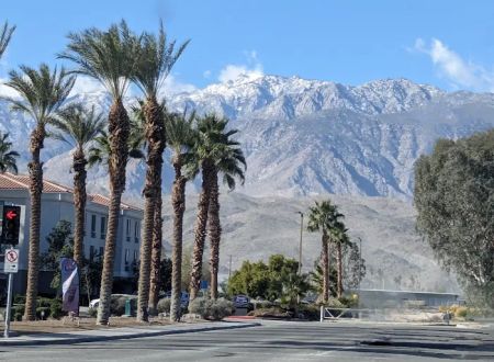Encore Palm Springs Oasis