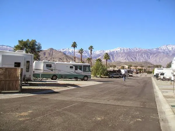 Encore Palm Springs Oasis Picture 5