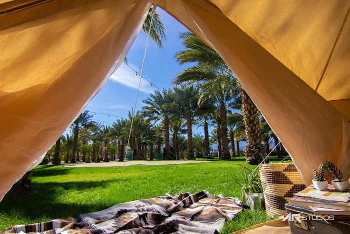 Festival Campgrounds Picture 9