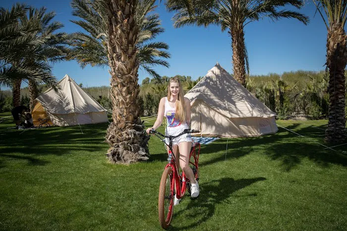 Festival Campgrounds Picture 6