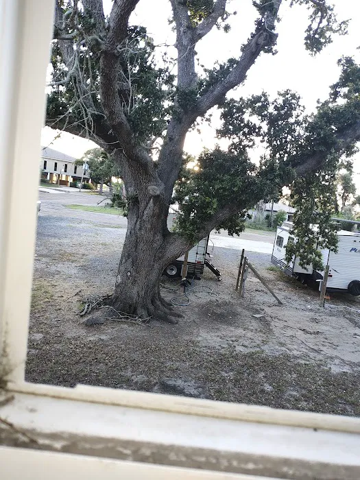 Cameron RV Under the Oaks Picture 1