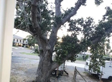 Cameron RV Under the Oaks