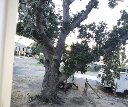 Cameron RV Under the Oaks