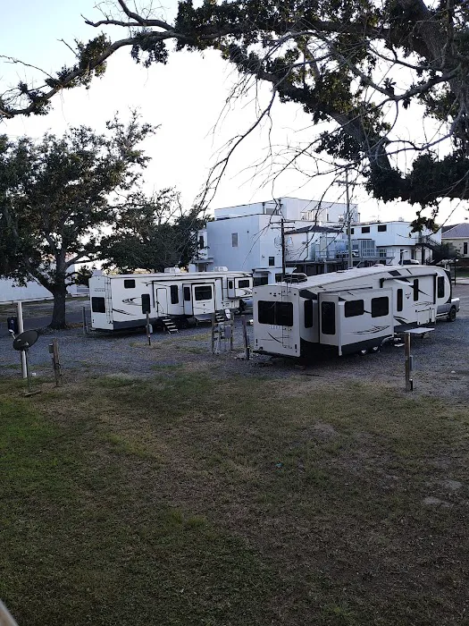 Cameron RV Under the Oaks Picture 2