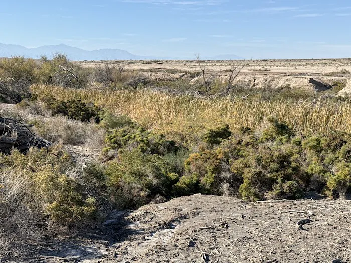 Salt Creek Beach Campground Picture 4