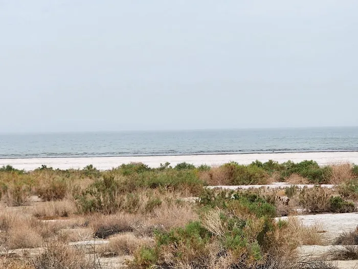 Salt Creek Beach Campground Picture 1