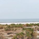 Salt Creek Beach Campground