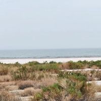 Salt Creek Beach Campground ico