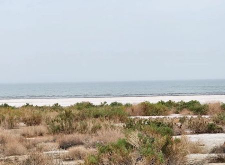 Salt Creek Beach Campground