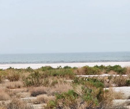 Salt Creek Beach Campground