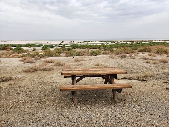 Salt Creek Beach Campground Picture 5
