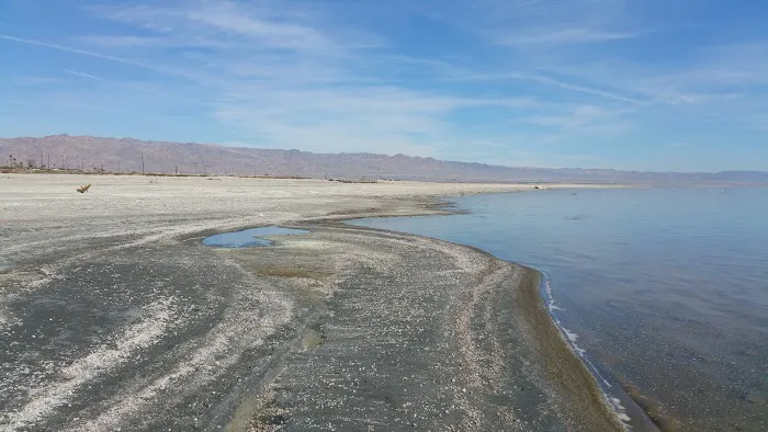 Bombay Beach Campground Picture 2