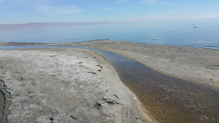 Bombay Beach Campground Picture 4