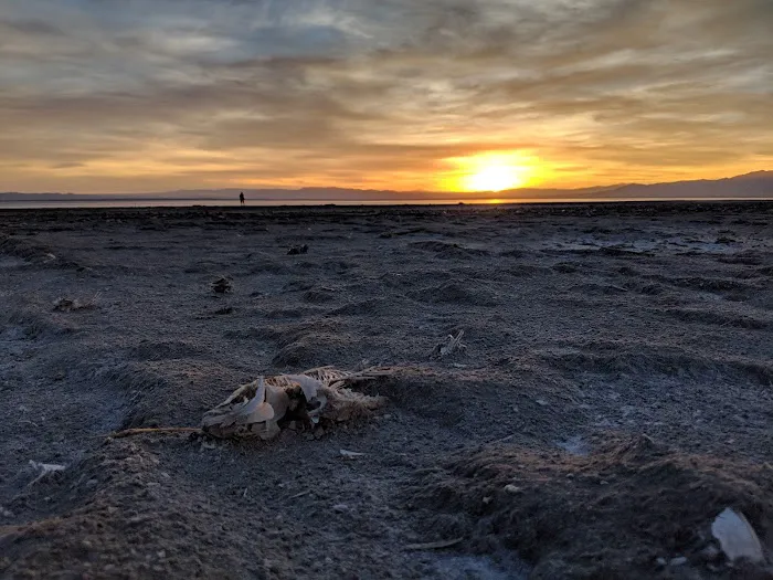 Bombay Beach Campground Picture 9