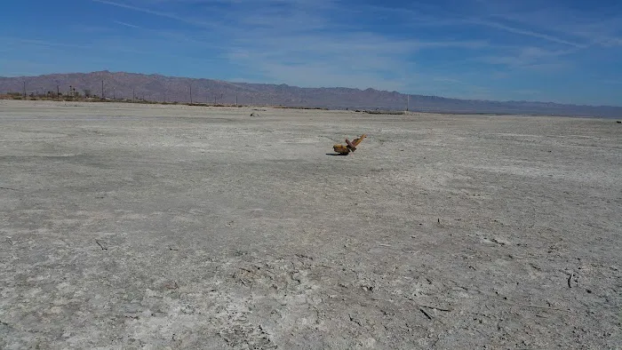 Bombay Beach Campground Picture 1