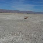 Bombay Beach Campground
