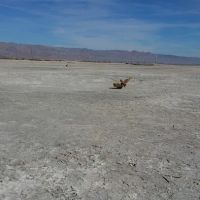 Bombay Beach Campground ico
