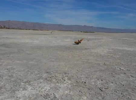 Bombay Beach Campground