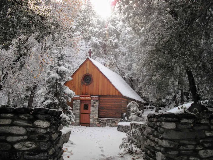 Forest Home Picture 10