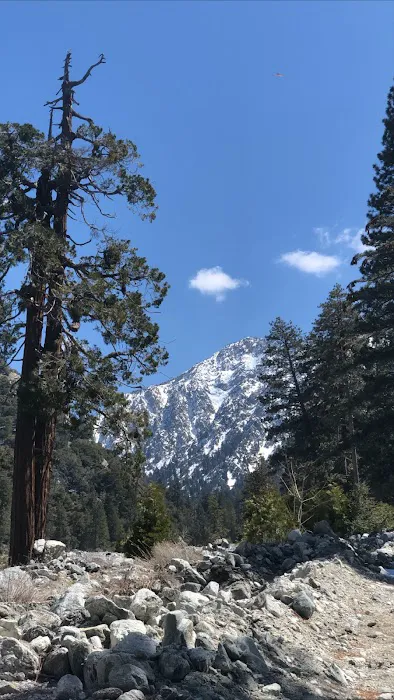 Vivian Creek Camp Picture 4