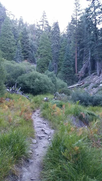 Vivian Creek Camp Picture 3