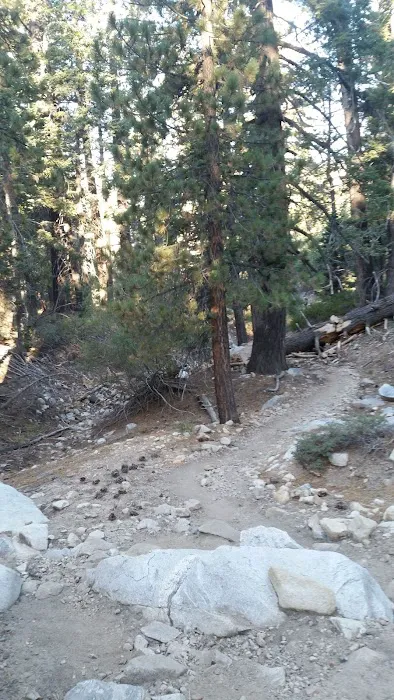Vivian Creek Camp Picture 2