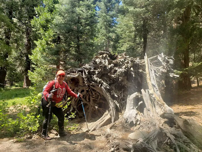 Vivian Creek Camp Picture 10