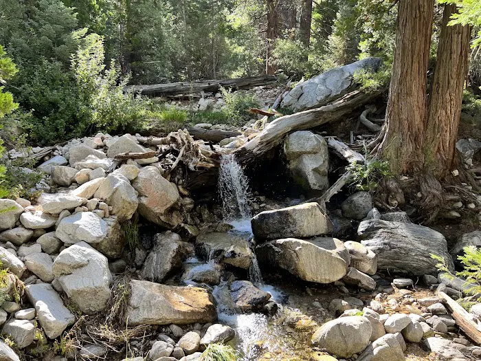 Dobb's Camp Picture 9