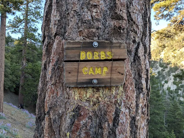 Dobb's Camp Picture 1