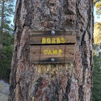 Dobb's Camp ico