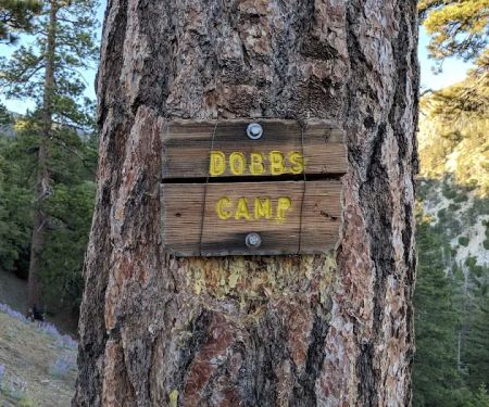 Dobb's Camp