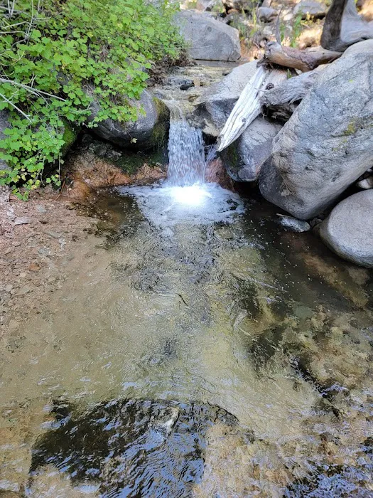 Dobb's Camp Picture 3