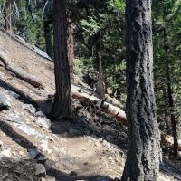 Halfway Camp ico
