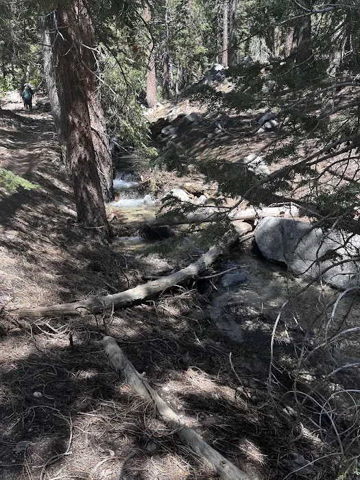 Halfway Camp Picture 9