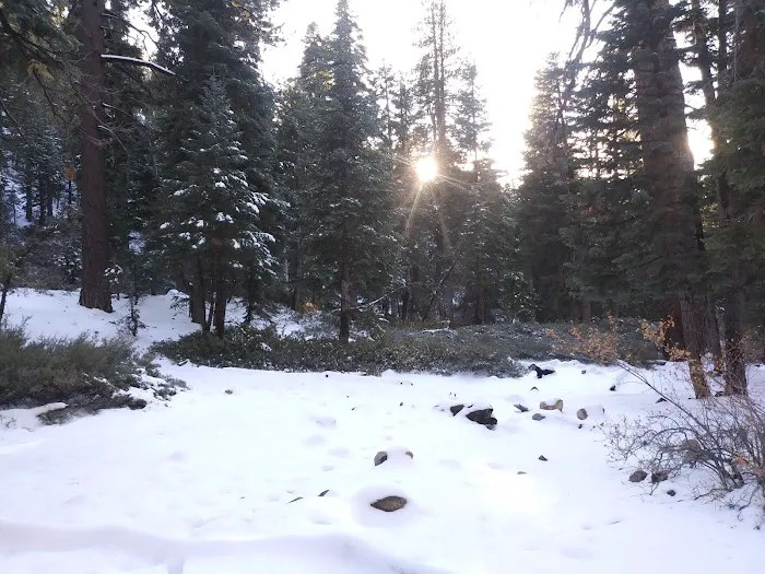 Halfway Camp Picture 8