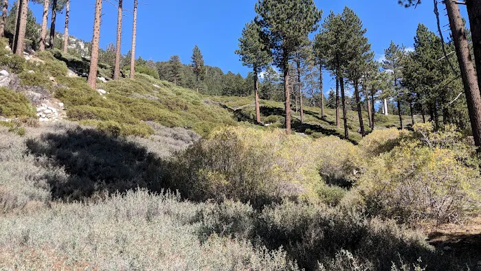 Halfway Camp Picture 2