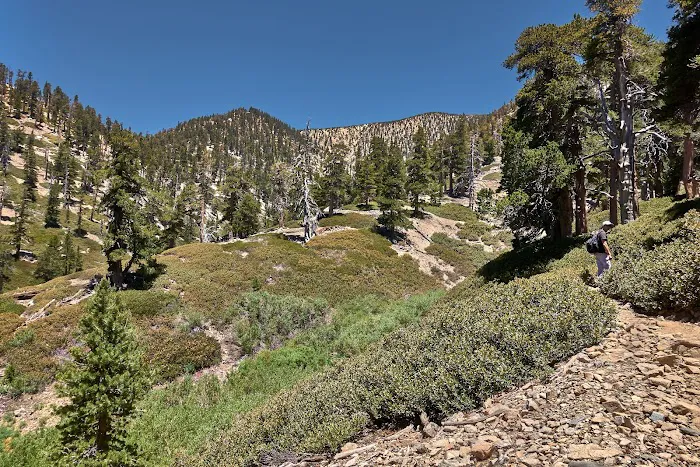 High Creek Camp Picture 2