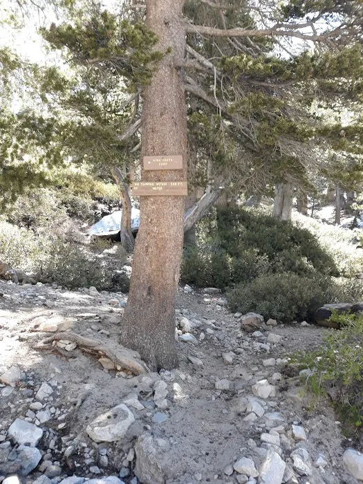 High Creek Camp Picture 8