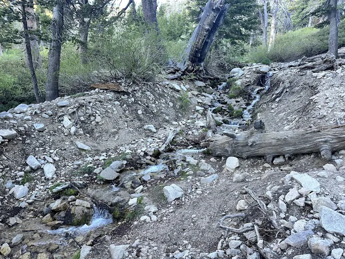 High Creek Camp Picture 10
