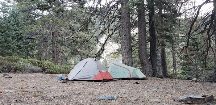 Saxton Camp Picture 1
