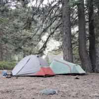 Saxton Camp ico