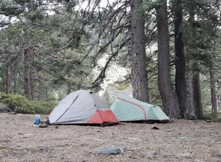 Saxton Camp