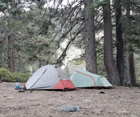 Saxton Camp