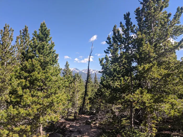 Boulder Brook Picture 4