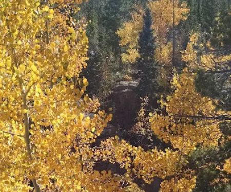Upper Wind River