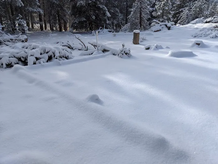 Wind River Bluff Picture 6